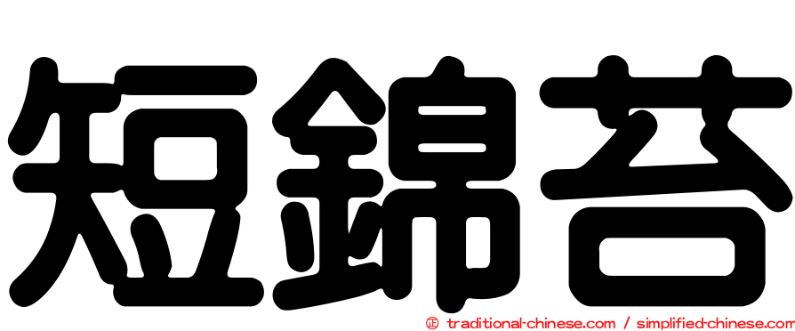 短錦苔
