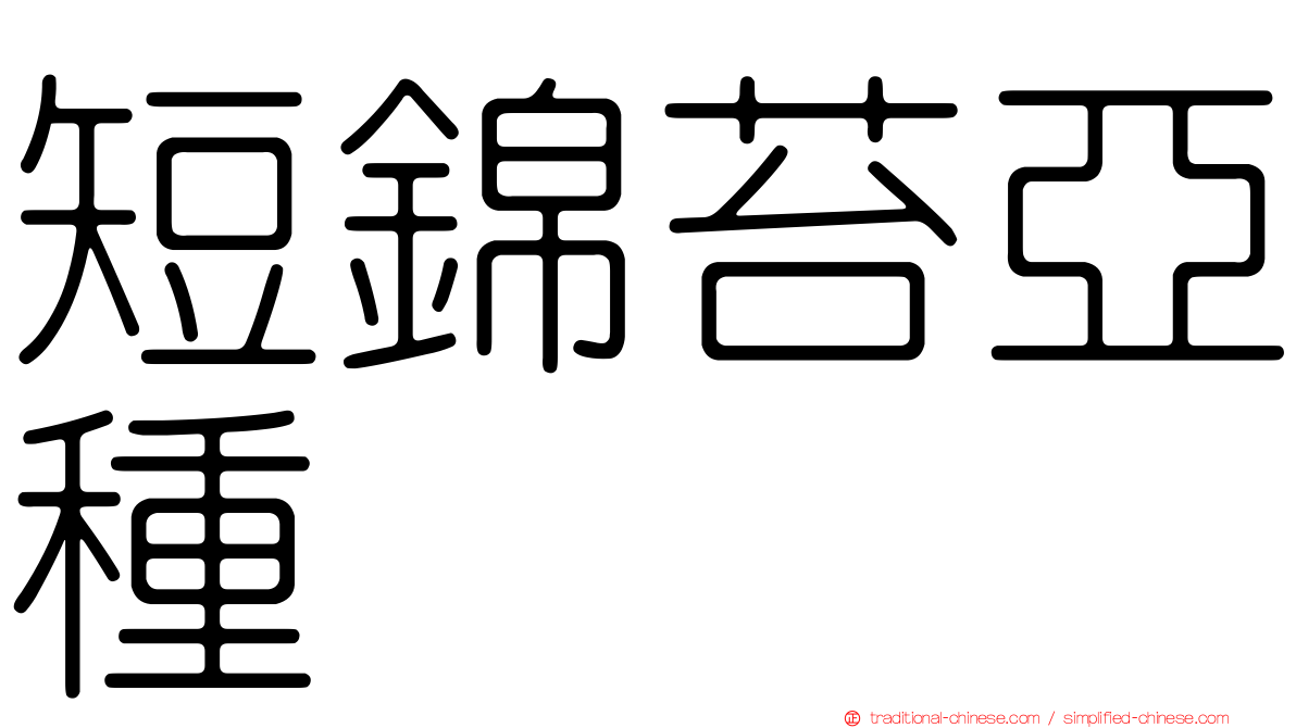 短錦苔亞種