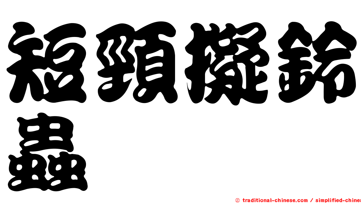 短頸擬鈴蟲