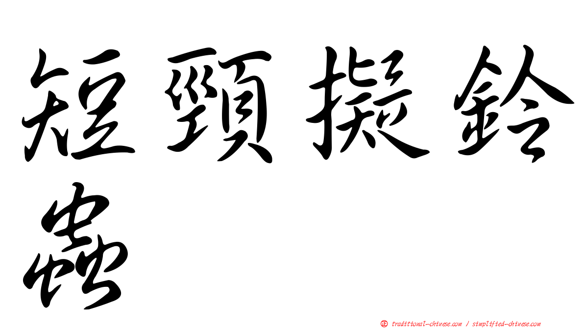 短頸擬鈴蟲
