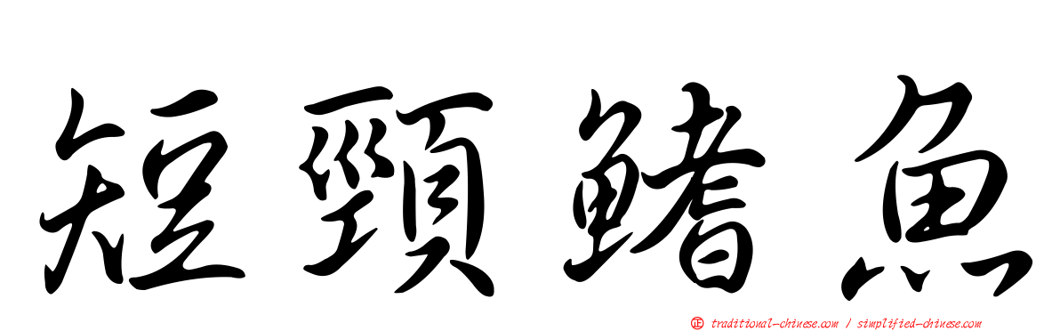 短頸鰭魚