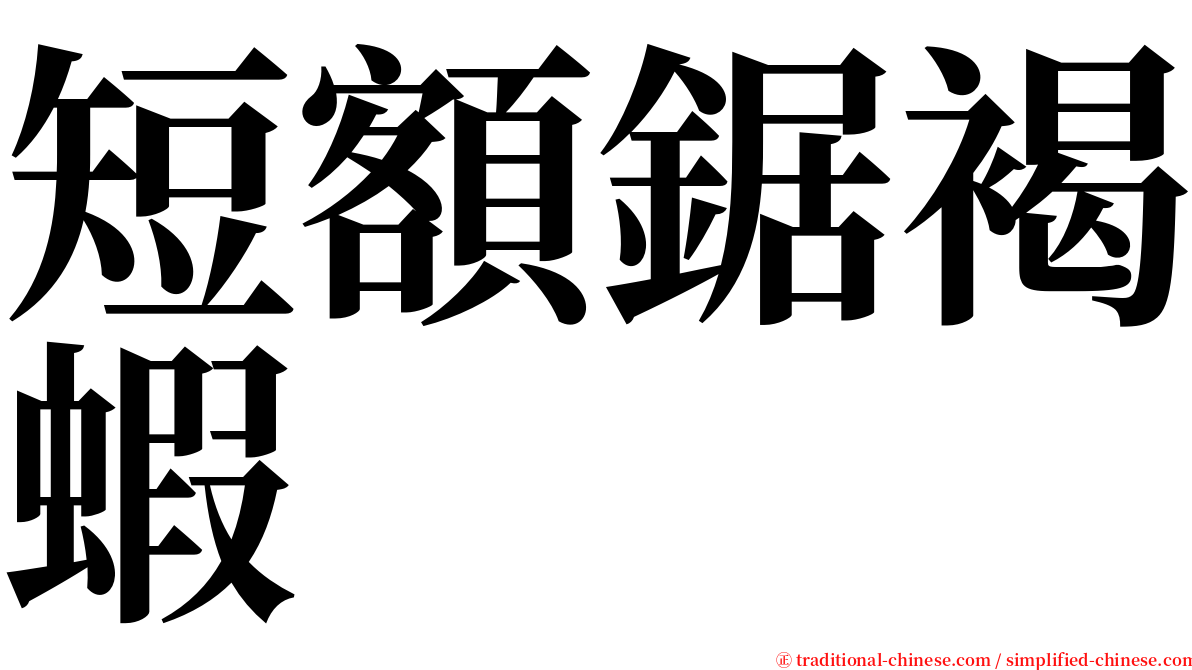 短額鋸褐蝦 serif font