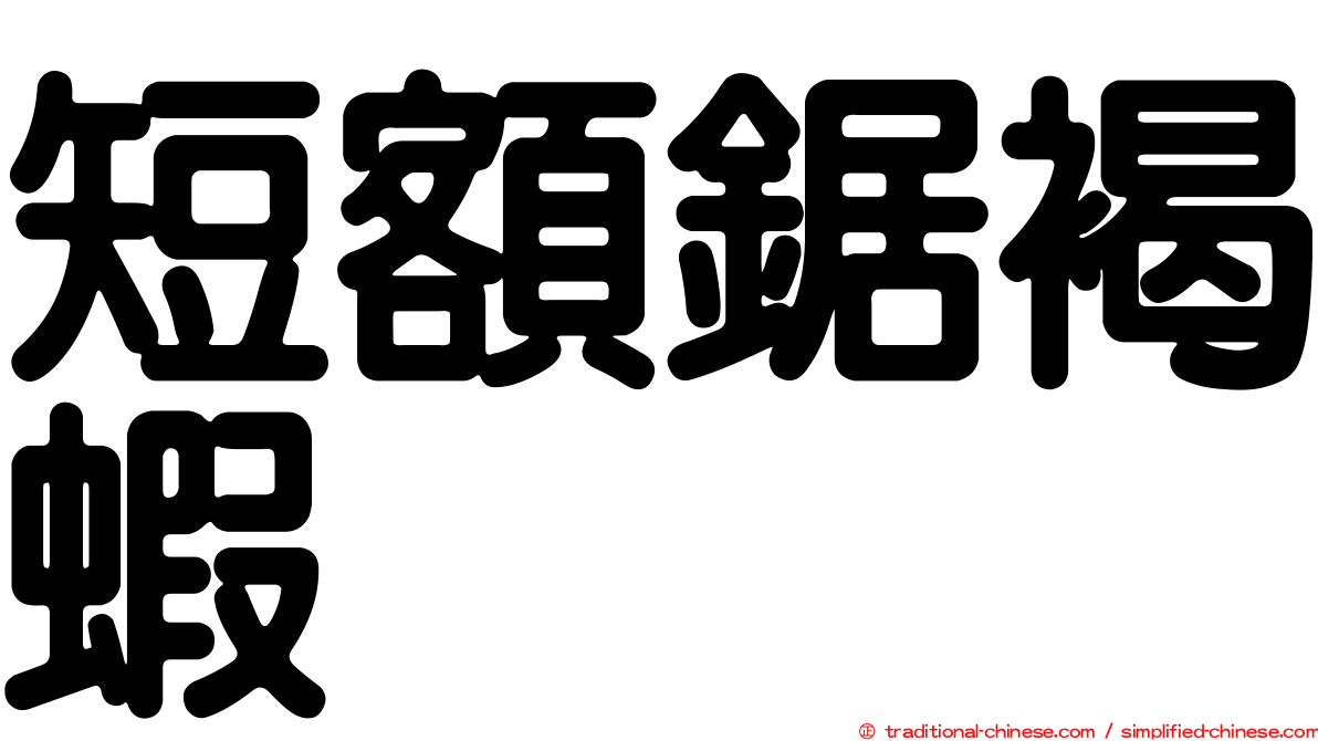 短額鋸褐蝦