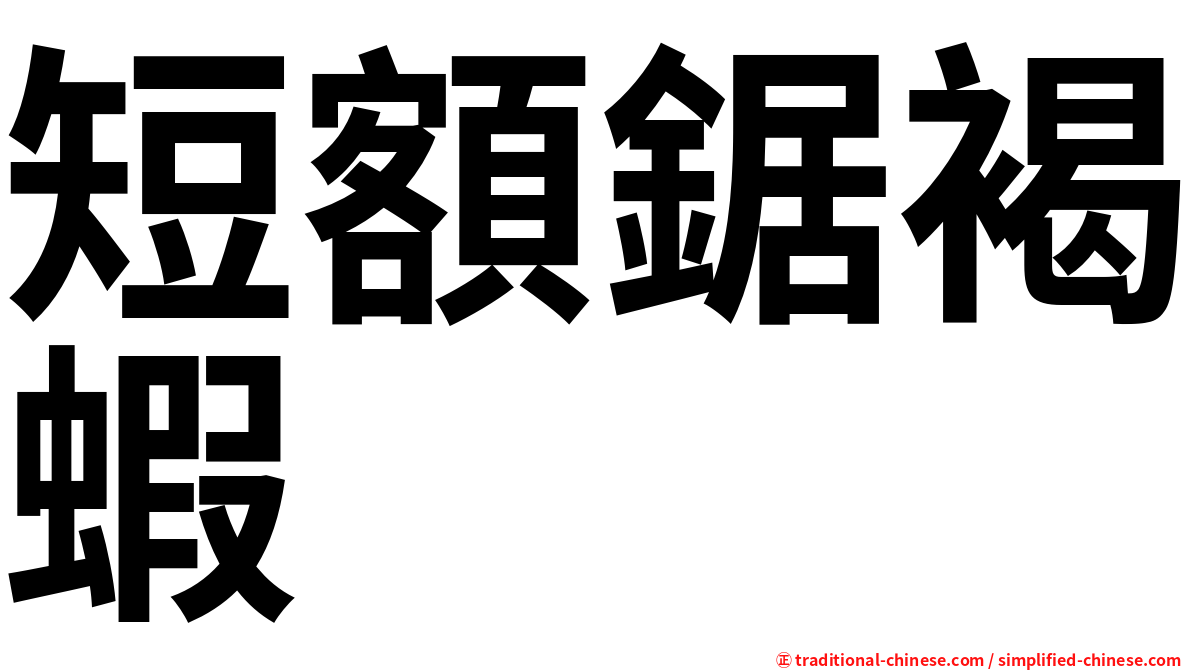 短額鋸褐蝦