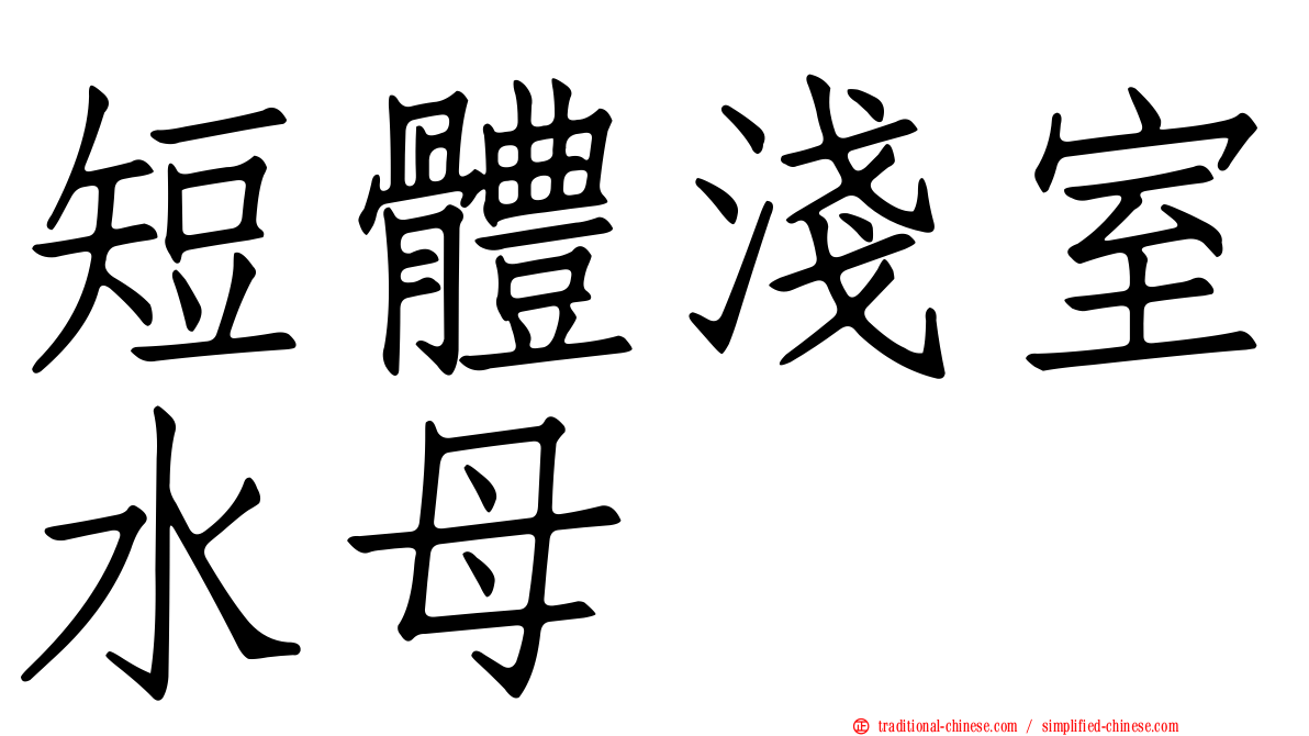 短體淺室水母