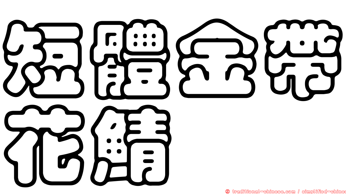 短體金帶花鯖