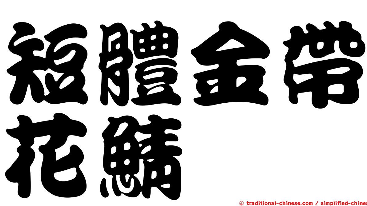 短體金帶花鯖