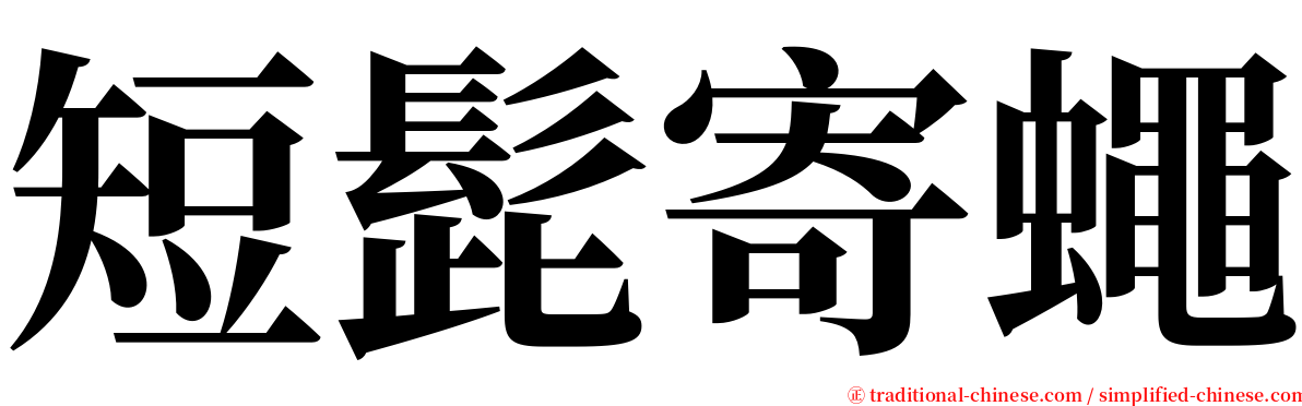 短髭寄蠅 serif font