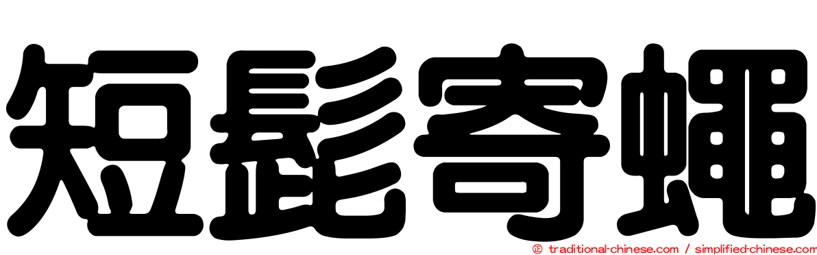 短髭寄蠅
