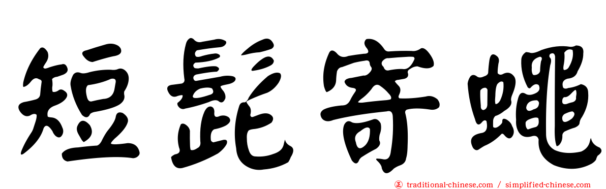 短髭寄蠅