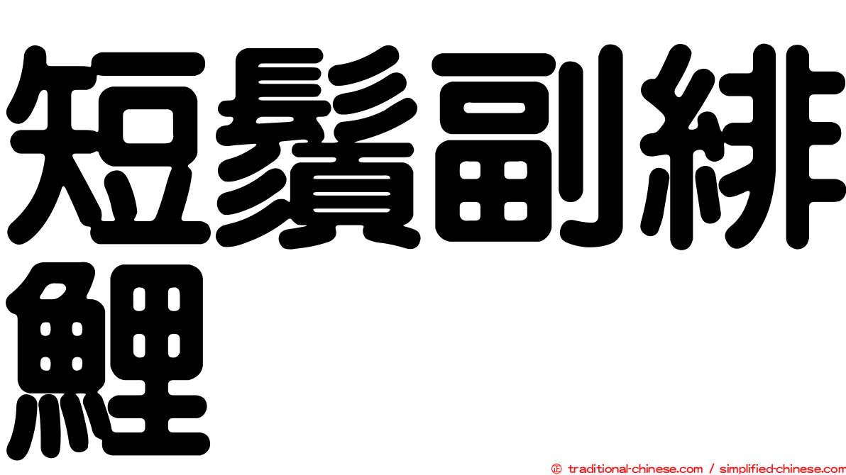 短鬚副緋鯉