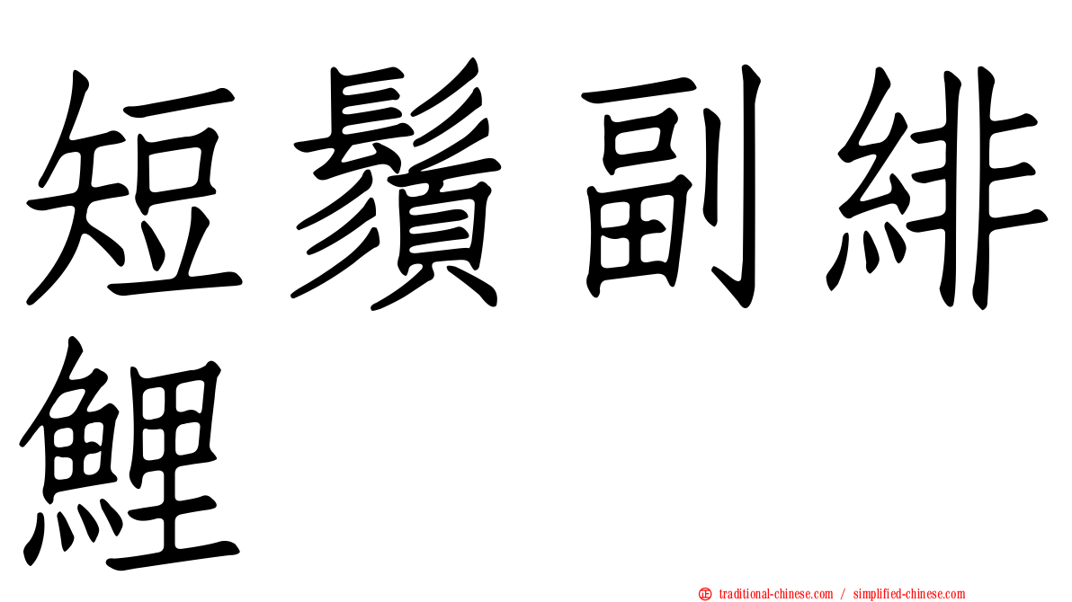 短鬚副緋鯉