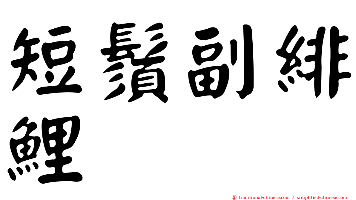 短鬚副緋鯉