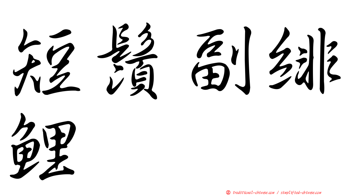 短鬚副緋鯉