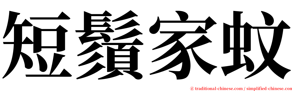 短鬚家蚊 serif font