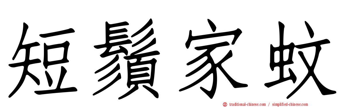 短鬚家蚊