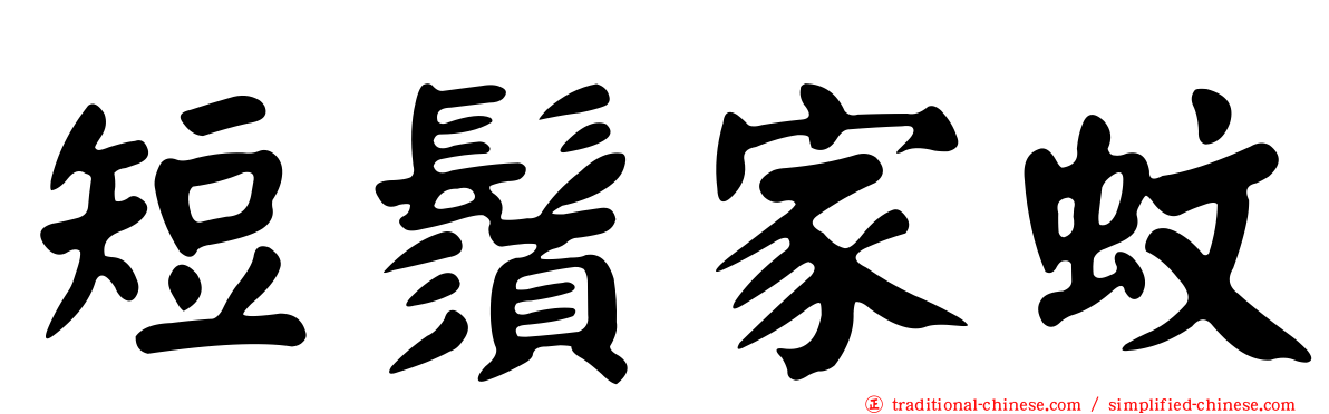 短鬚家蚊