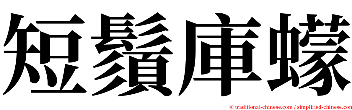 短鬚庫蠓 serif font