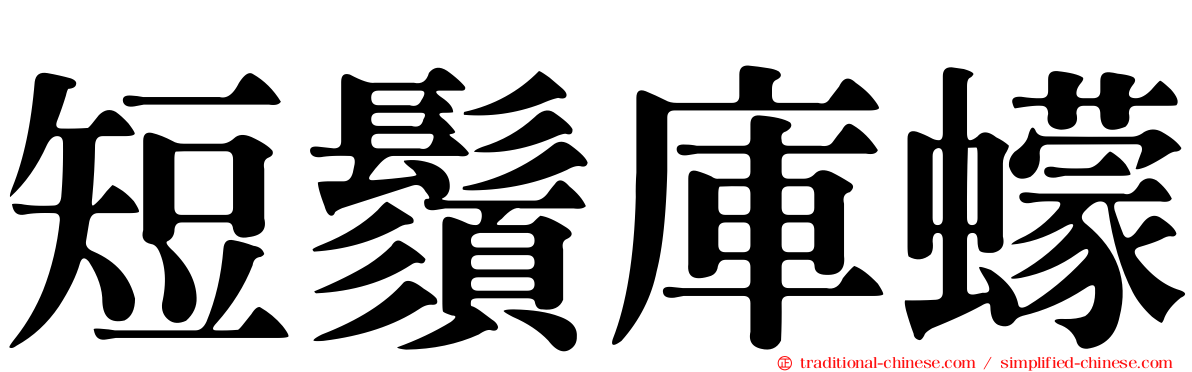 短鬚庫蠓