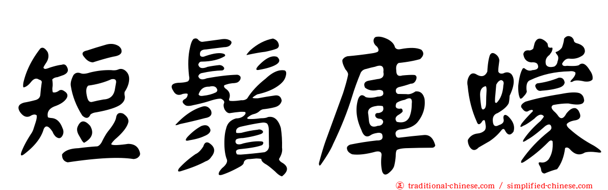短鬚庫蠓