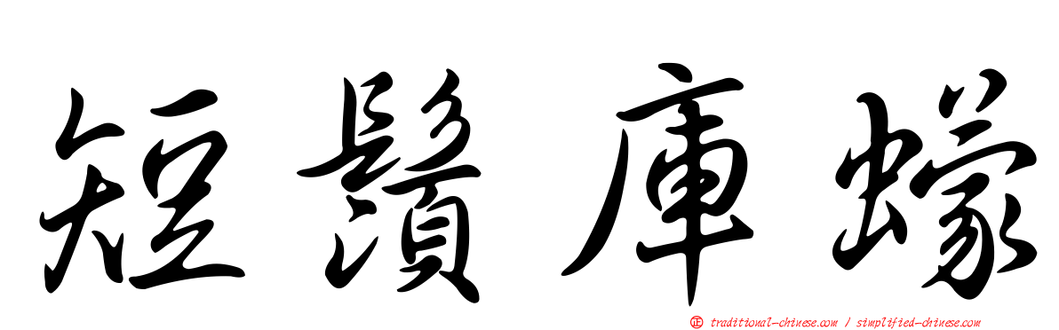 短鬚庫蠓