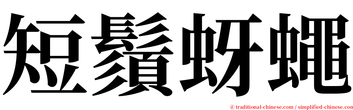 短鬚蚜蠅 serif font