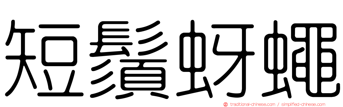 短鬚蚜蠅