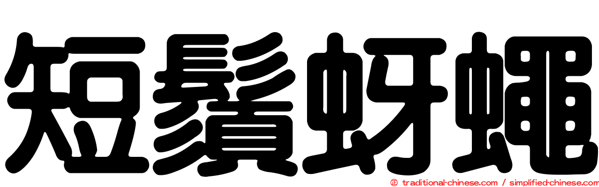 短鬚蚜蠅