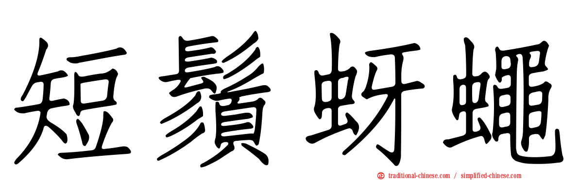 短鬚蚜蠅