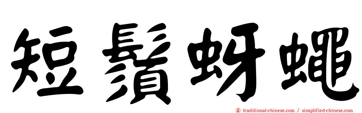 短鬚蚜蠅