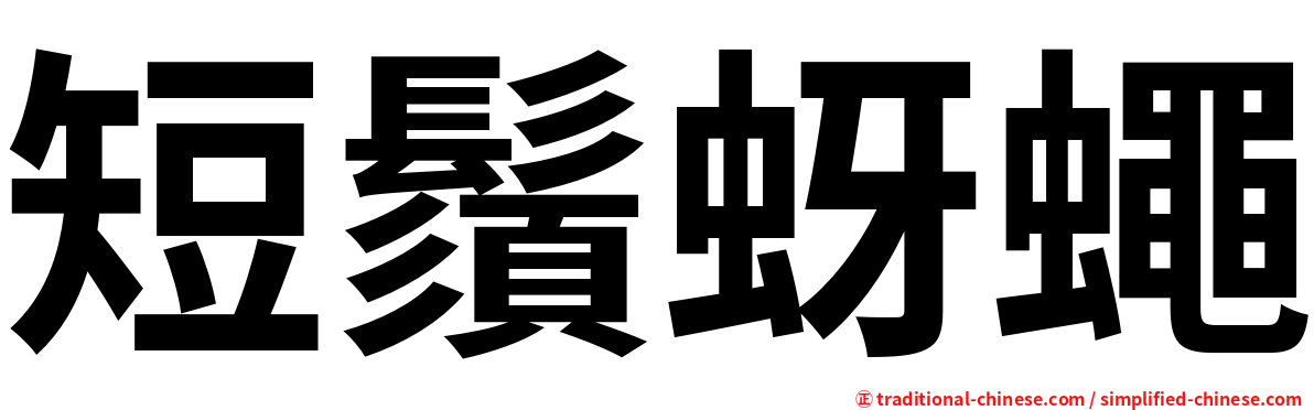 短鬚蚜蠅