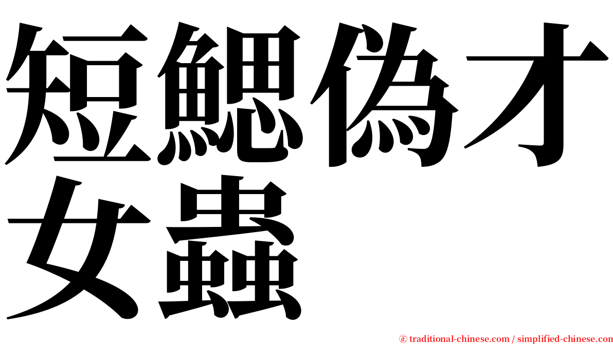 短鰓偽才女蟲 serif font