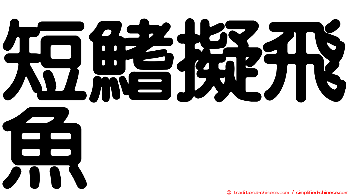 短鰭擬飛魚