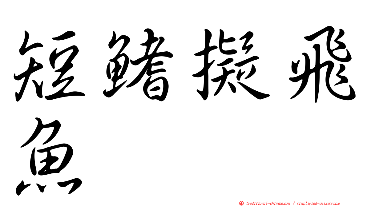 短鰭擬飛魚
