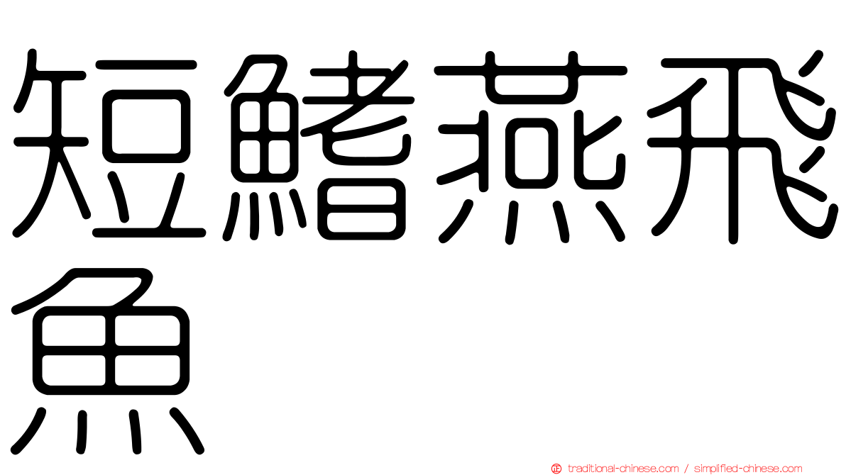 短鰭燕飛魚