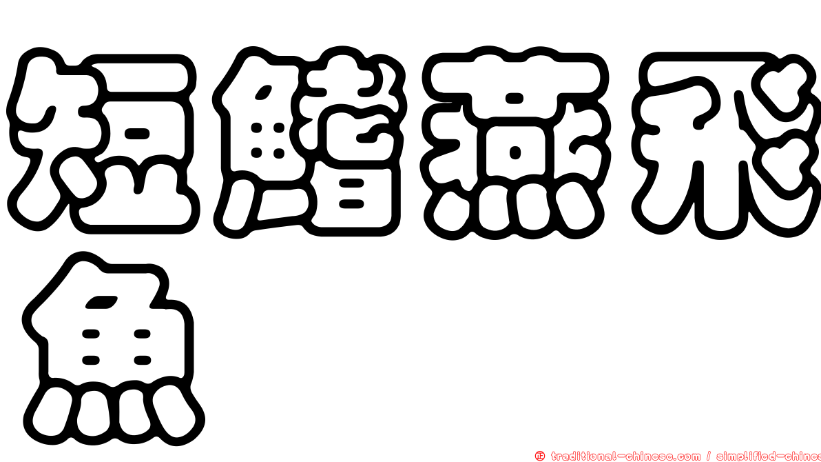 短鰭燕飛魚