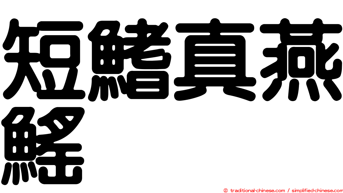 短鰭真燕鰩