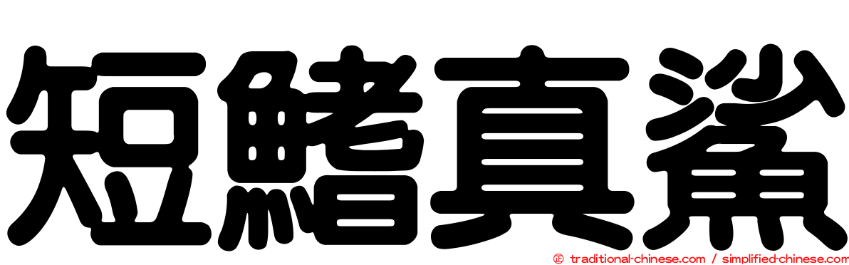 短鰭真鯊
