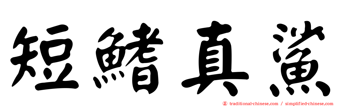 短鰭真鯊