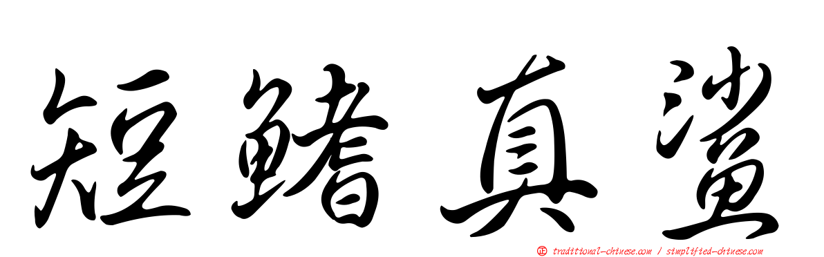 短鰭真鯊