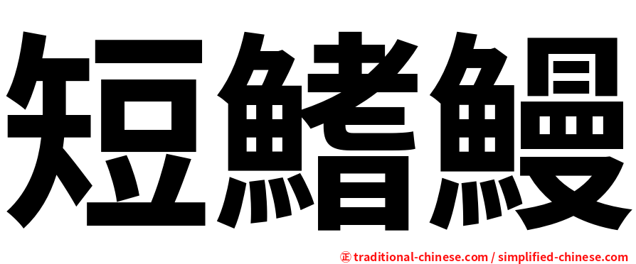 短鰭鰻