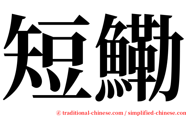 短鰳 serif font