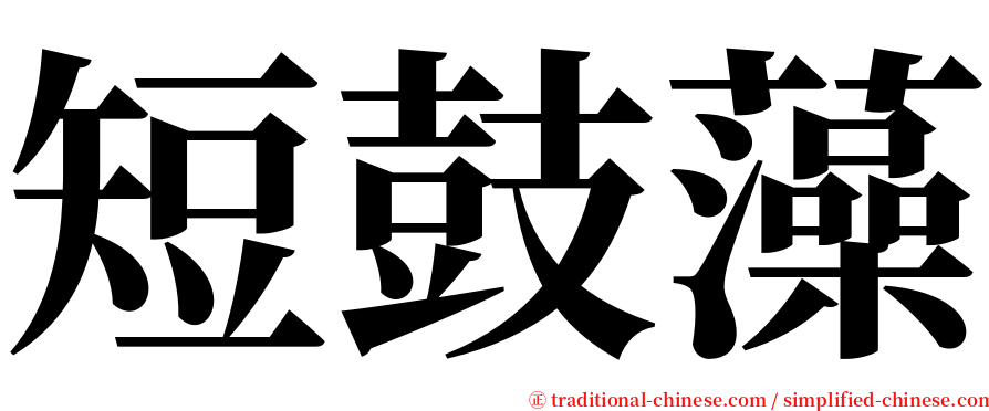 短鼓藻 serif font