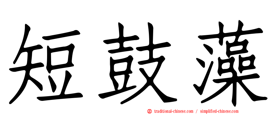 短鼓藻