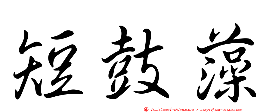 短鼓藻