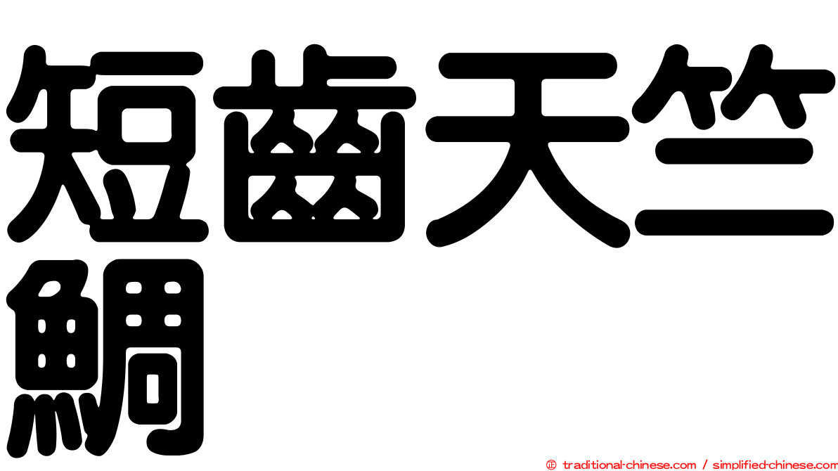 短齒天竺鯛