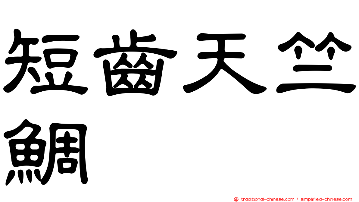 短齒天竺鯛
