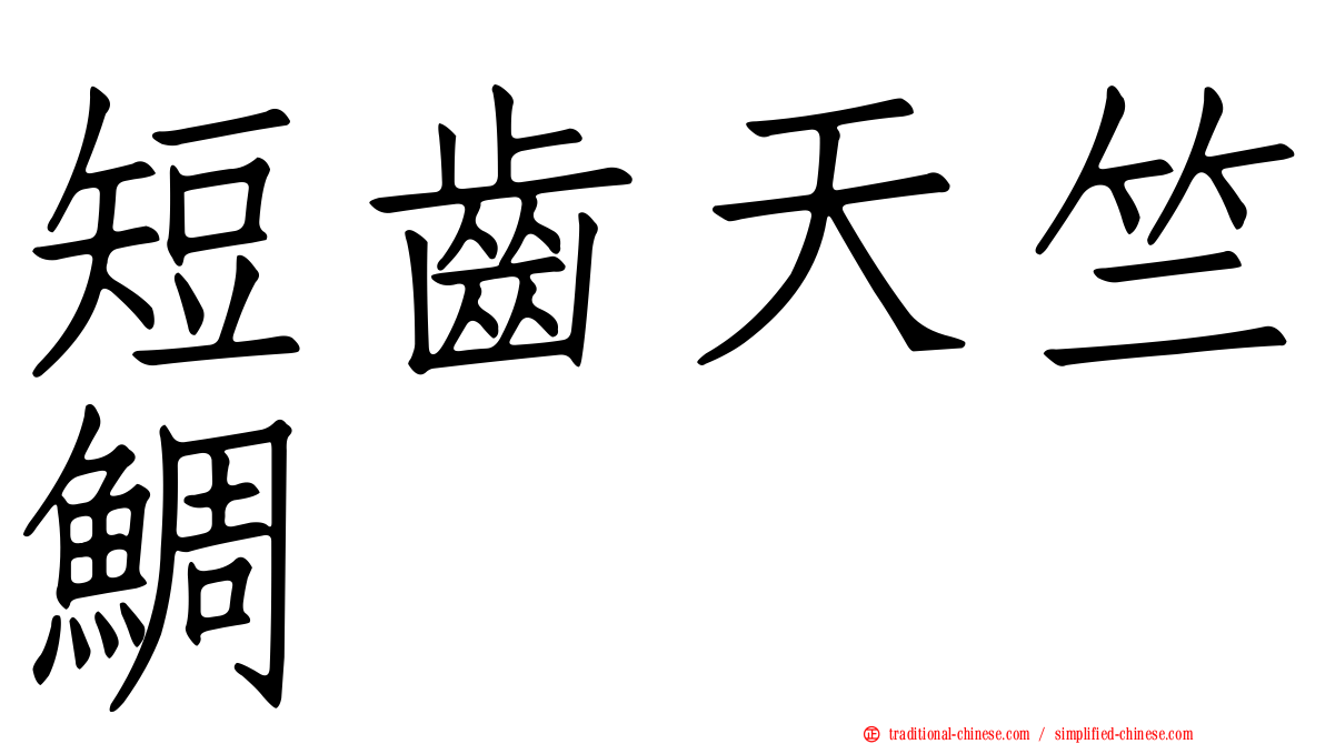短齒天竺鯛