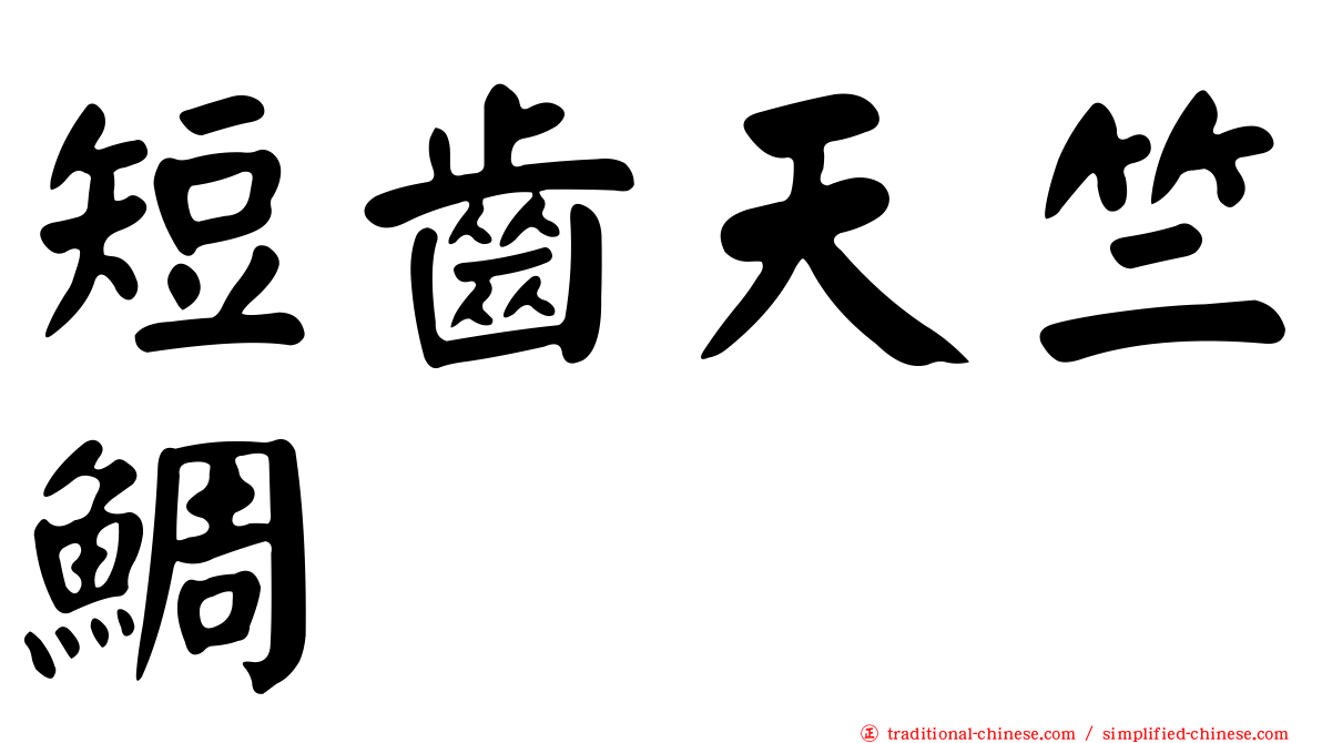 短齒天竺鯛