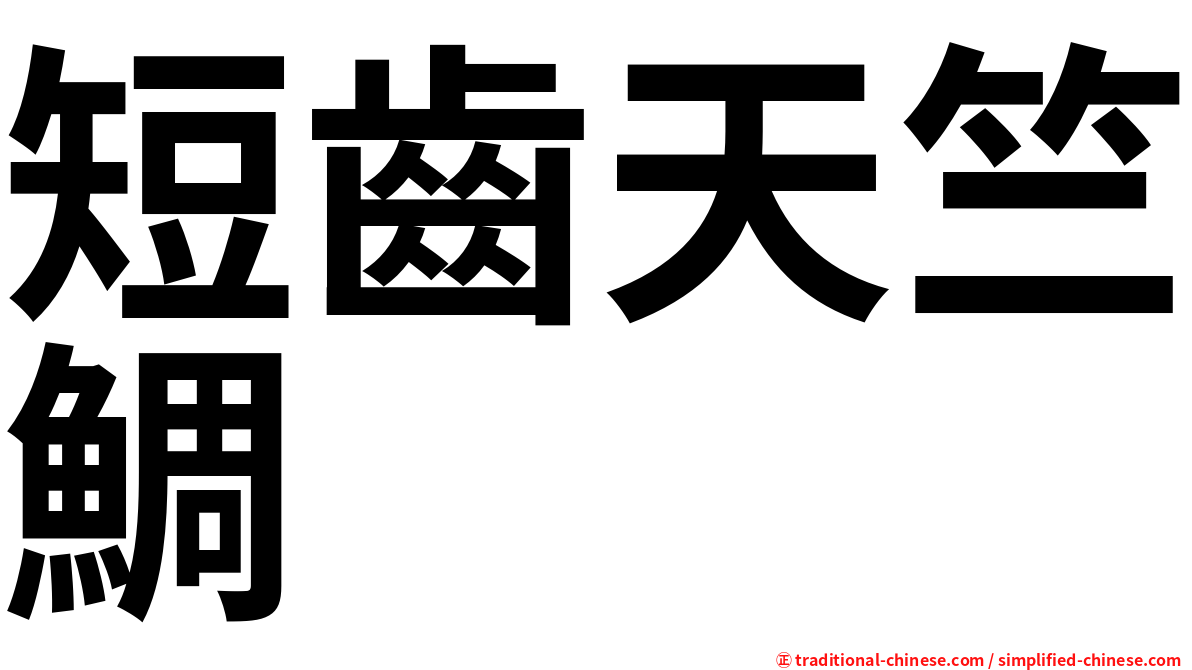 短齒天竺鯛